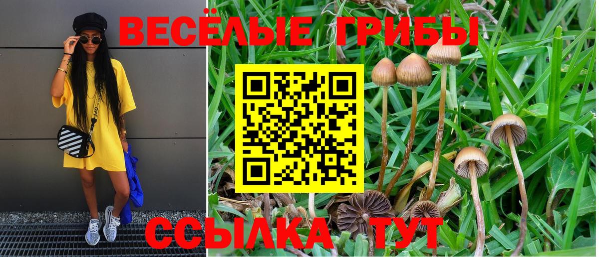 где найти наркотики  Галлюциногенные грибы ЛСД  Псилоцибиновые грибы Psilocybine cubensis  Вход с VPN  Красный Сулин 